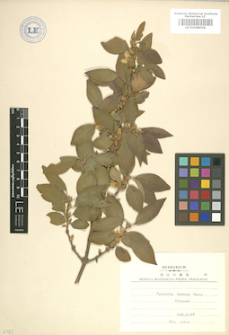 LE 01008008