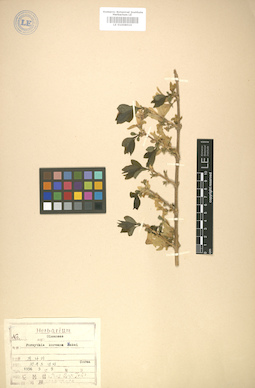 LE 01008010