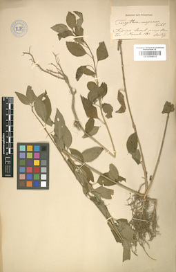 LE 01008014