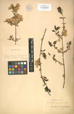 LE 01008015