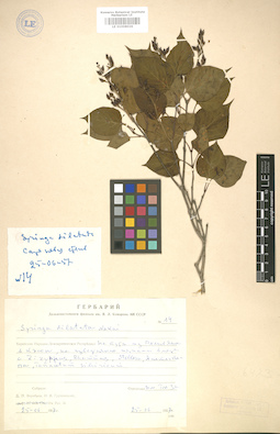 LE 01008026