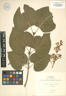 LE 01008027