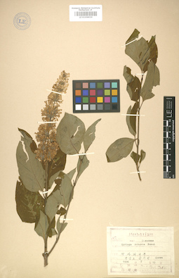 LE 01008030