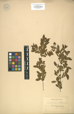 LE 01008040