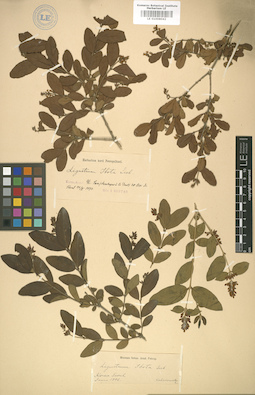 LE 01008042