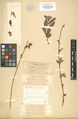 LE 01008043
