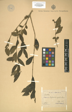 LE 01008044