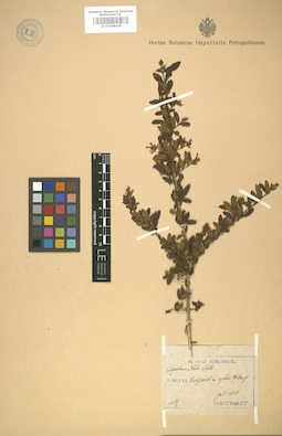 LE 01008045