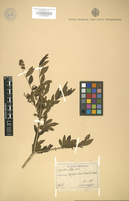 LE 01008046