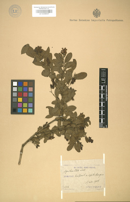 LE 01008047