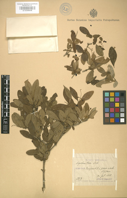 LE 01008048