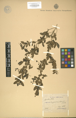 LE 01008049