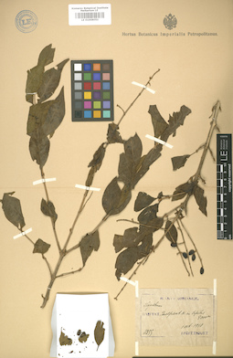 LE 01008050