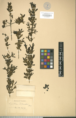 LE 01008057