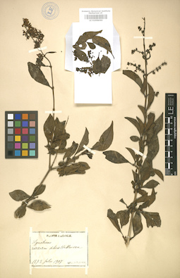 LE 01008060