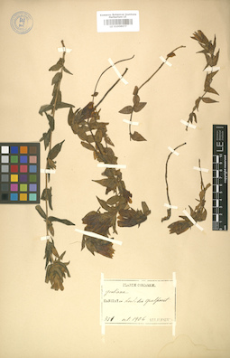 LE 01008077