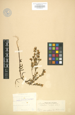 LE 01008102