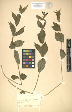 LE 01008104