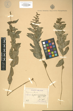 LE 01008107