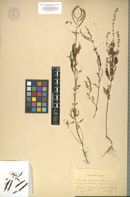 LE 01008110
