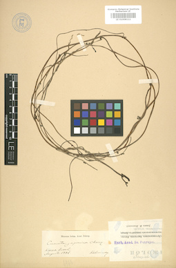 LE 01008111