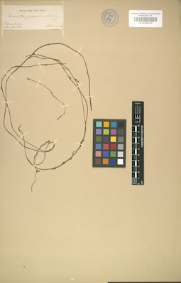 LE 01008112