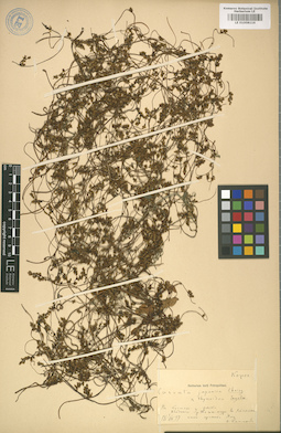LE 01008116