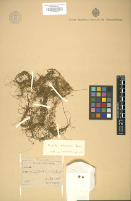 LE 01008117