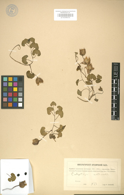 LE 01008131