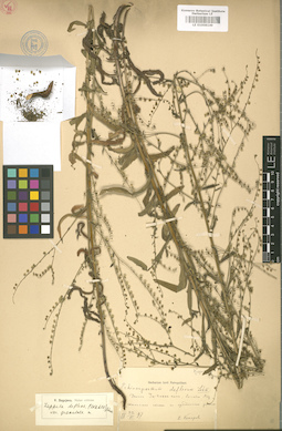 LE 01008149