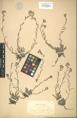 LE 01008152