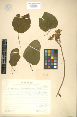 LE 01008156