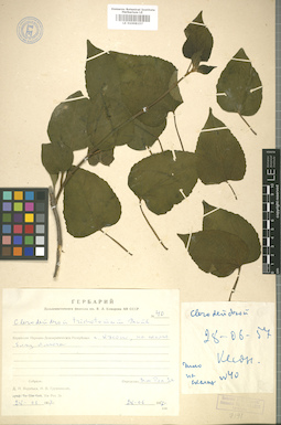 LE 01008157