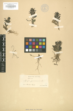 LE 01008171
