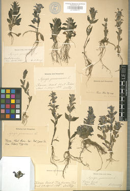 LE 01008172