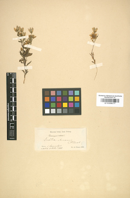 LE 01008177