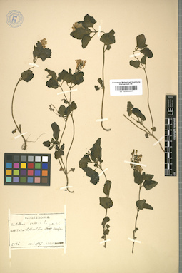 LE 01008187