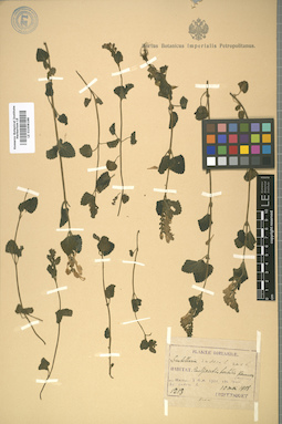 LE 01008188