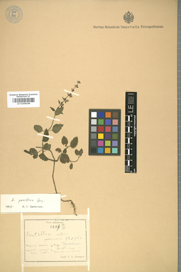 LE 01008189