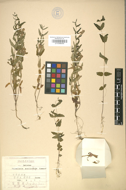 LE 01008190