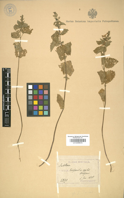 LE 01008191