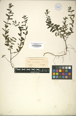 LE 01008192