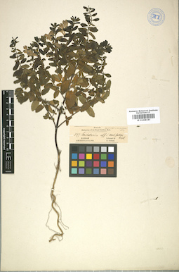 LE 01008193