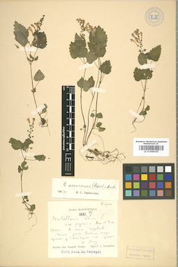 LE 01008195