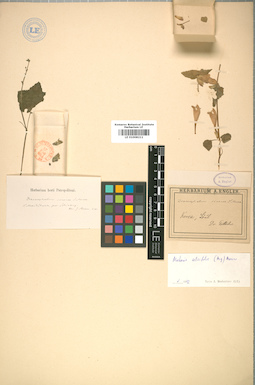 LE 01008211