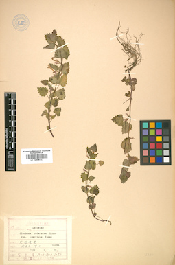 LE 01008212