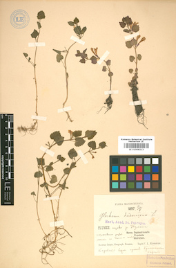 LE 01008213