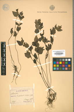 LE 01008215