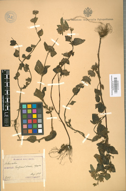 LE 01008216