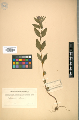 LE 01008218